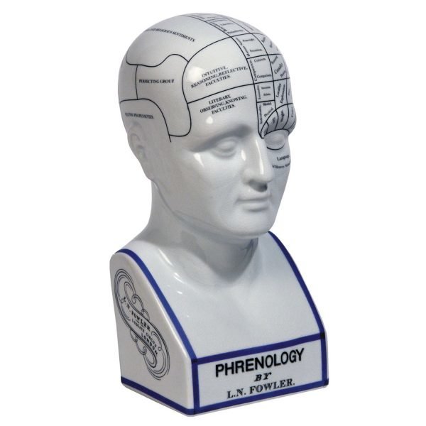 Authentic Models Phrenology Head Koristelu