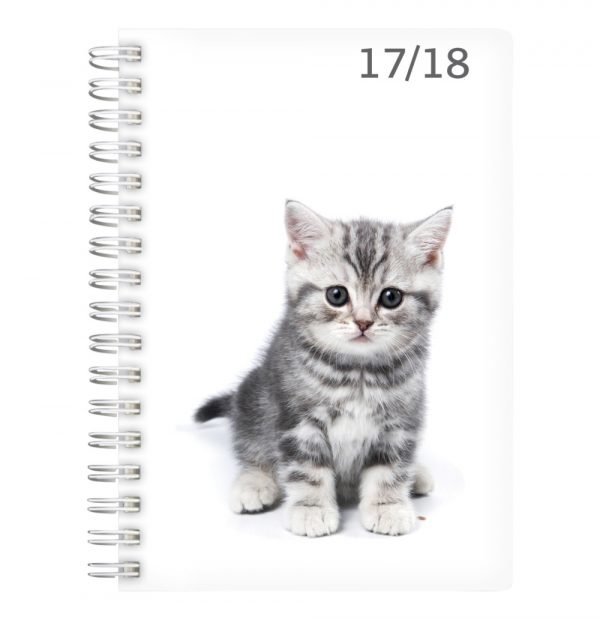 Lukuvuosikalenteri 17/18 Compact Pets 18kk