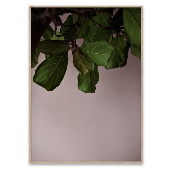 Paper Collective Green Leaves Poster Juliste 40x30 Cm