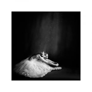 Selected By Walnutstreet Ballerina Iv Juliste 40x40 Cm