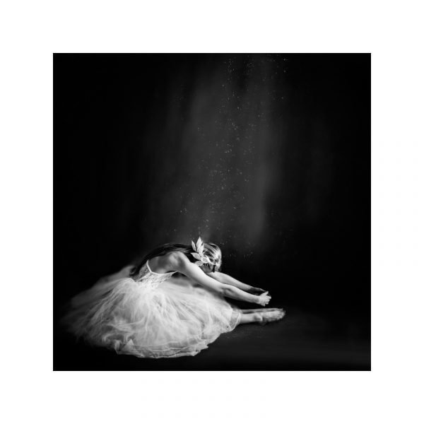 Selected By Walnutstreet Ballerina Iv Juliste 40x40 Cm